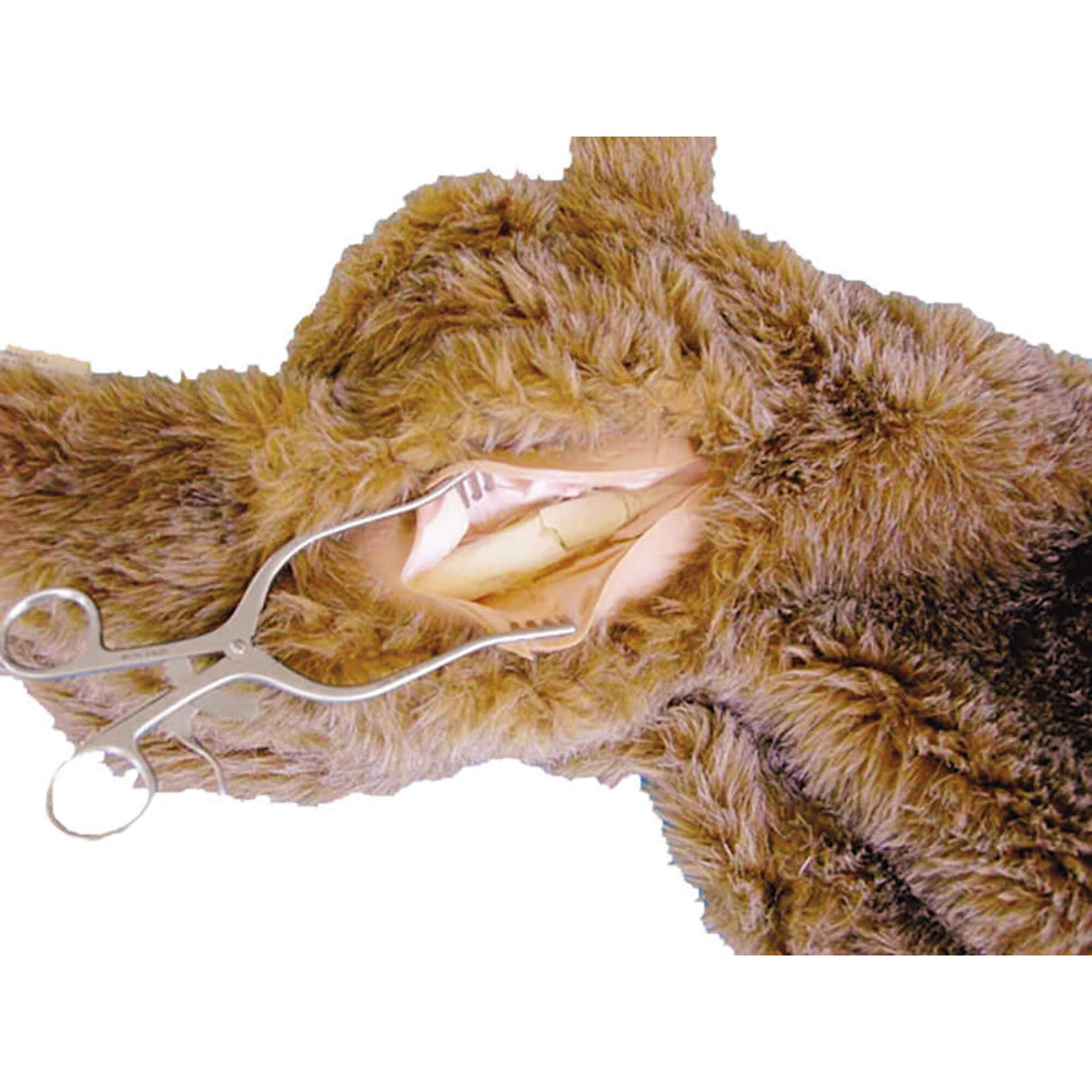 Erler-Zimmer Oberschenkel-Fraktur-Option für VET4000, VET4010 und VET4020