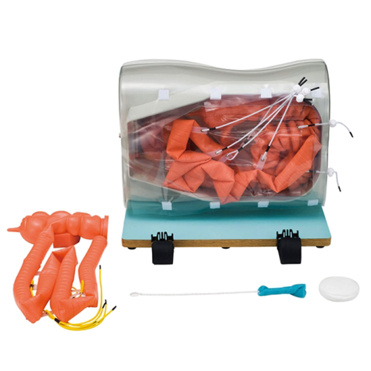 Erler-Zimmer Optionale Erweiterung Dünndarm (Leichte Version) für LM107