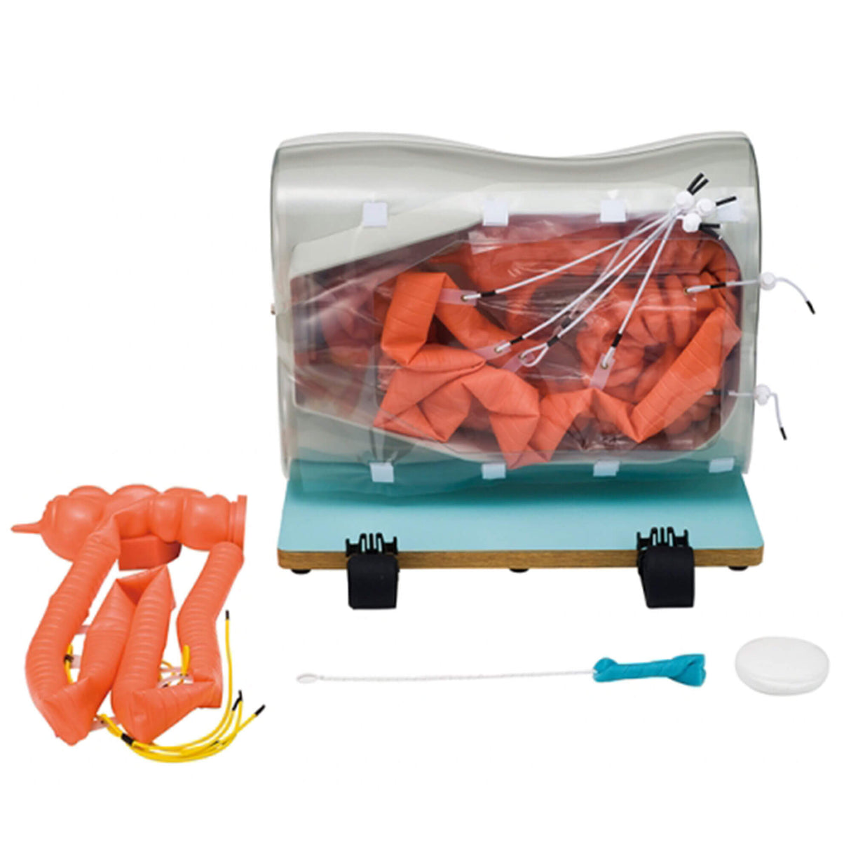 Erler-Zimmer Optionale Erweiterung Dünndarm (Mittelschwere Version) für LM107