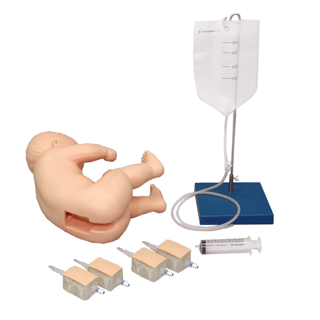 Erler-Zimmer Pädiatrischer Lumbalpunktions-Simulator