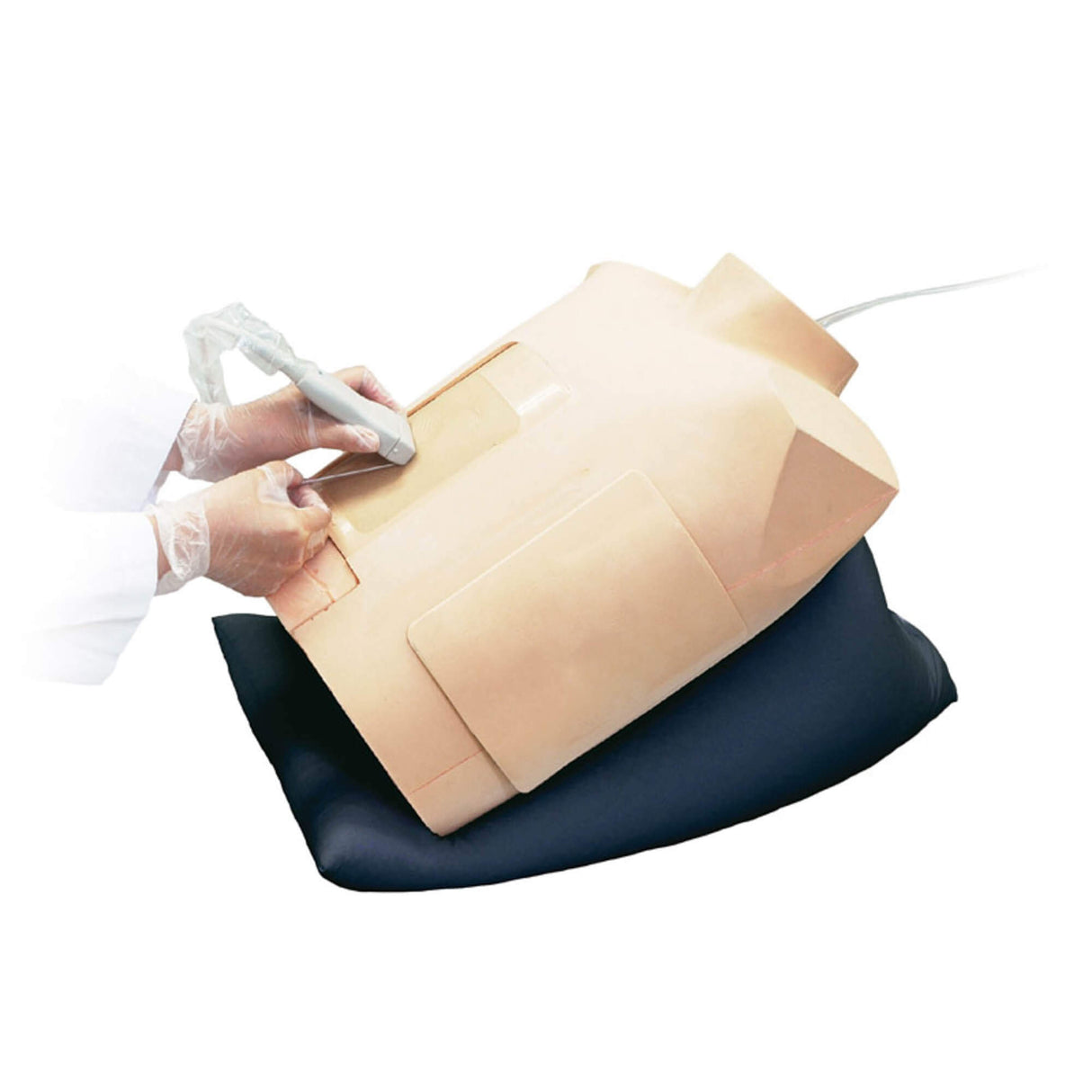 Erler-Zimmer Perikardiozentese Simulator mit Ultraschallunterstützung