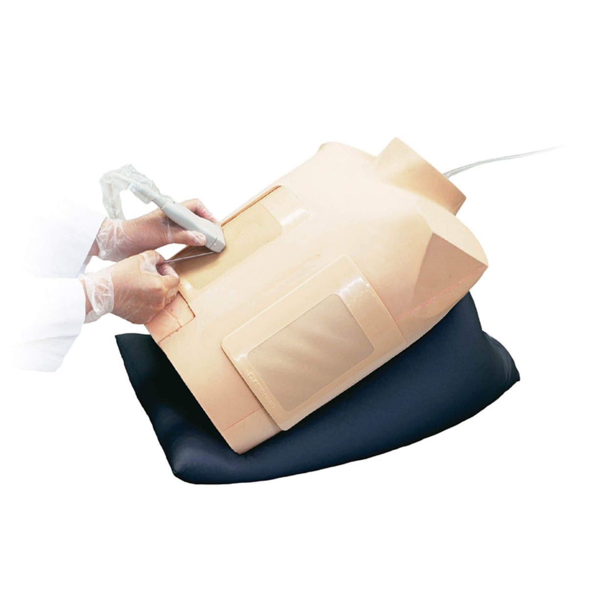 Erler-Zimmer Perikardiozentese/Thorakozentese Simulator mit Ultraschallunterstützung