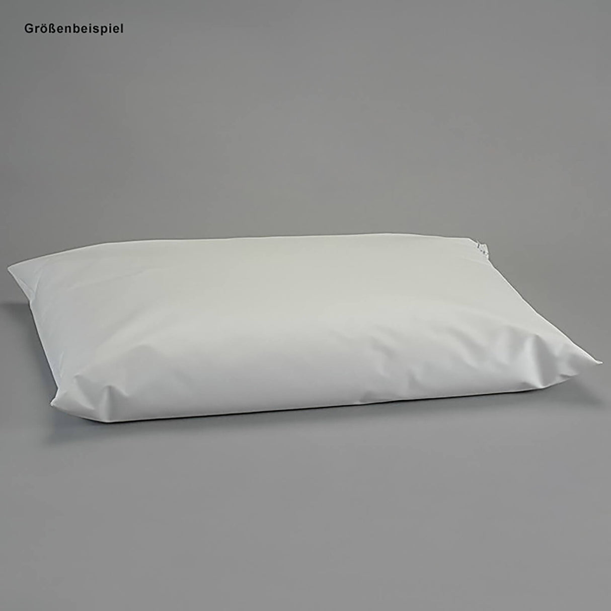 Dr. Paul Koch Styroporkissen 40 x 30 cm, abwaschbar