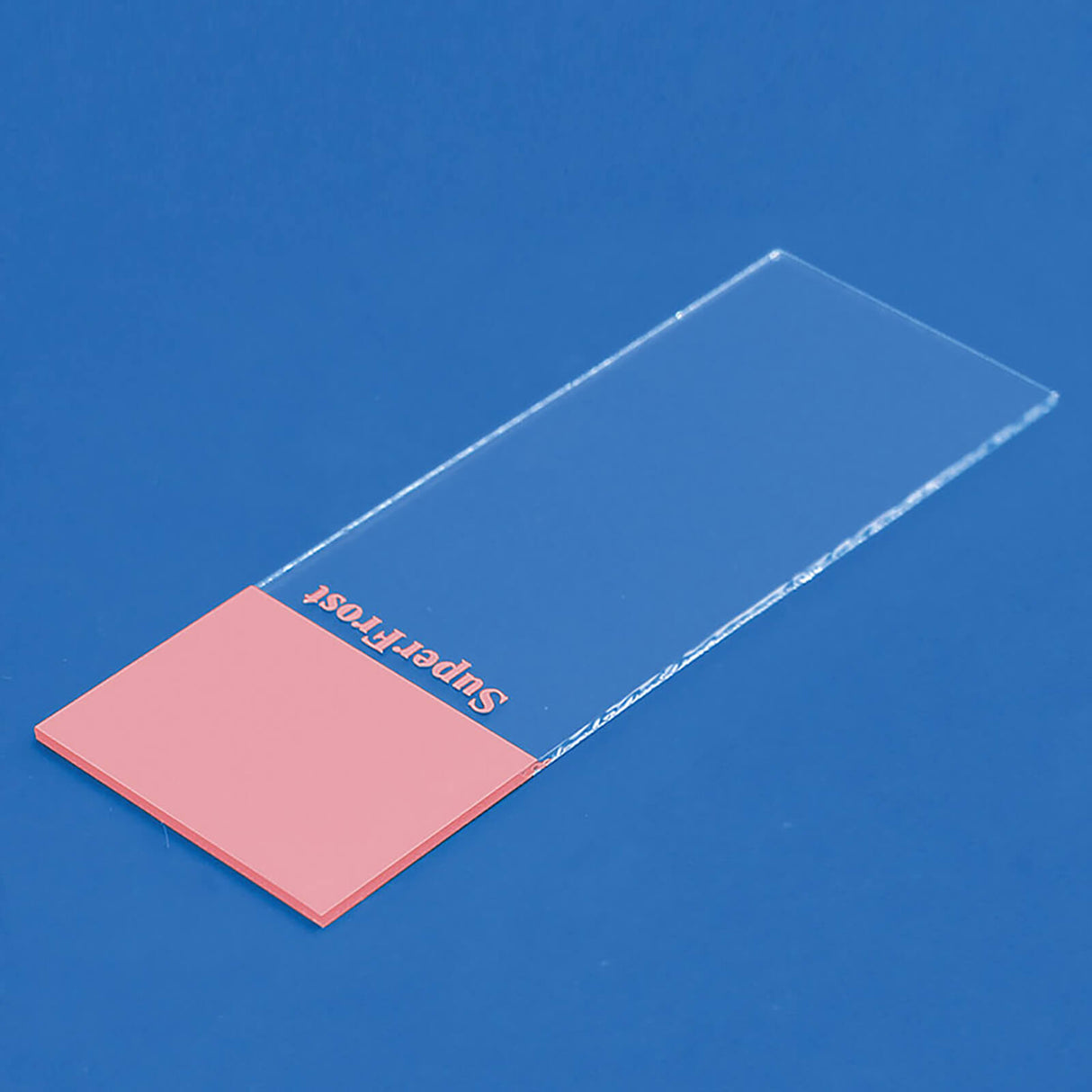 epredia Objektträger SuperFrost geschnitten (50 Stck.)