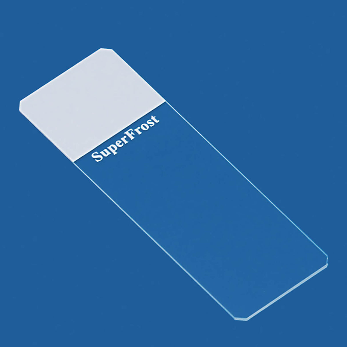 epredia Objektträger SuperFrost weiß geschliffen (50 Stck.)