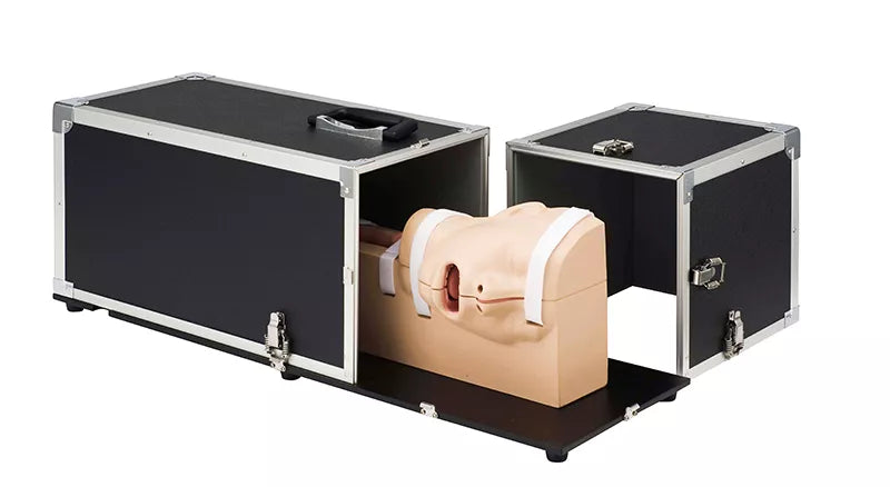 Erler-Zimmer OGD Oesophago Gastro Duodenoskopie Simulator