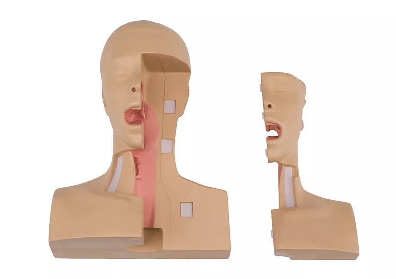Erler-Zimmer Tracheostomie Management Simulator