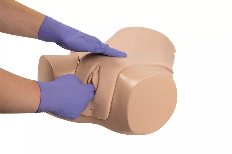Erler-Zimmer Gynäkologischer Untersuchungssimulator