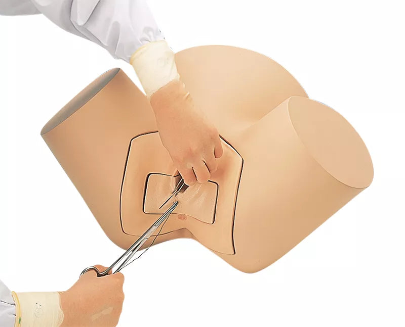Erler-Zimmer Episiotomie Vernähungs Simulator