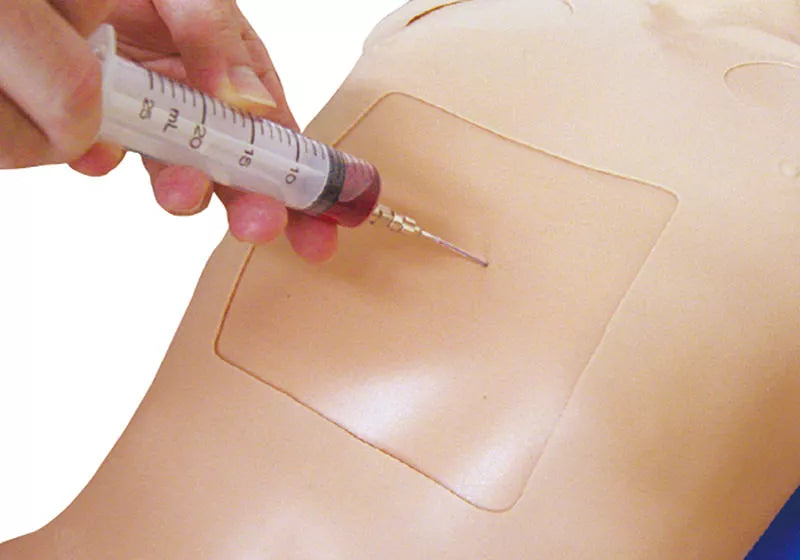 Erler-Zimmer Thorax-Trauma-Trainer