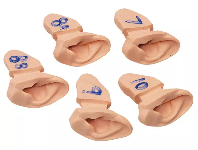 Erler-Zimmer Ohruntersuchungs Simulator Modell
