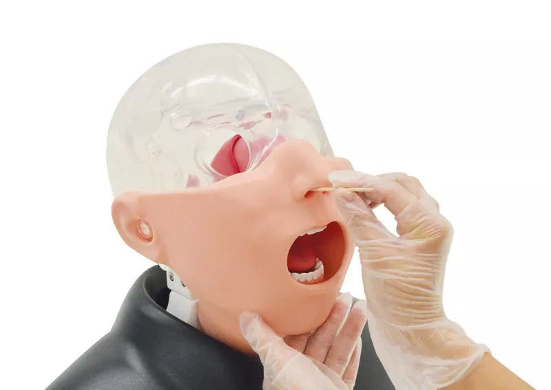 Erler-Zimmer Nasopharyngealer Abstrichsimulator