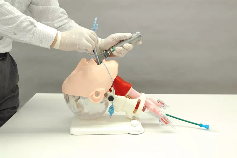 Erler-Zimmer Demonstrationsmodell schwieriges Atemwegsmanagement