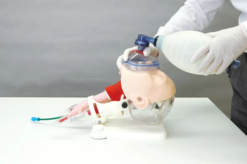 Erler-Zimmer Demonstrationsmodell schwieriges Atemwegsmanagement