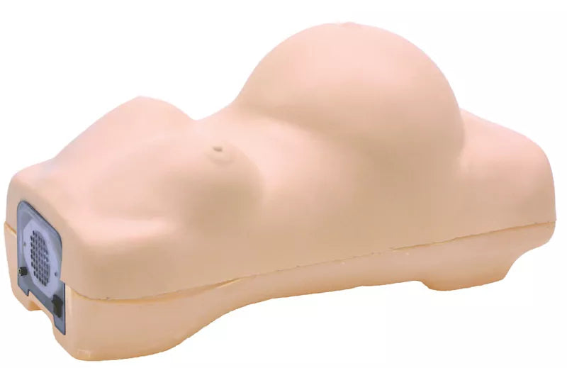 Erler-Zimmer Schwangerschafts-Untersuchungs-Simulator