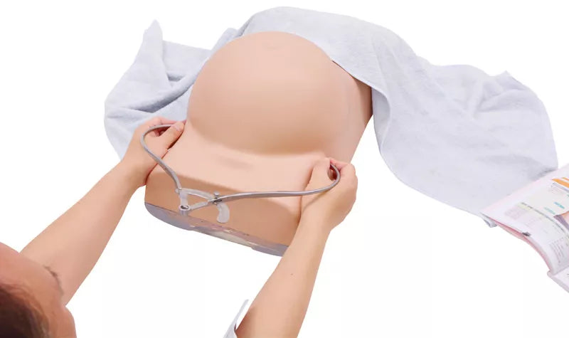 Erler-Zimmer Schwangerschafts-Untersuchungs-Simulator