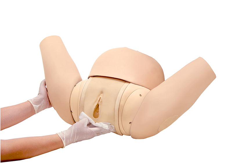 Erler-Zimmer Geburtshilfe - Simulator