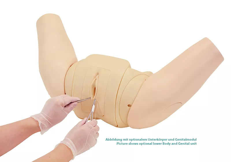 Erler-Zimmer Perinealreparatur - Simulator