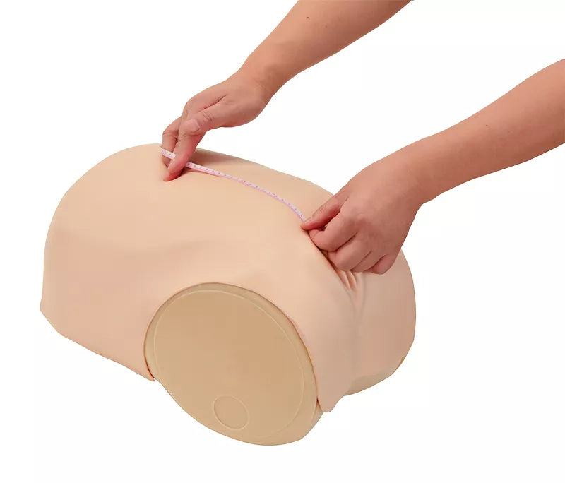 Erler-Zimmer Simulator zur Uterus - Rückbildungsuntersuchung