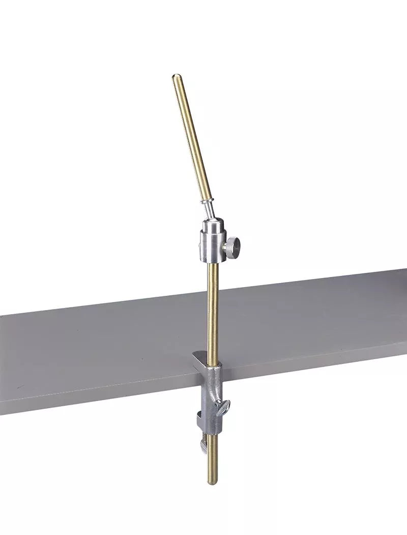Erler-Zimmer Dentalpuppe