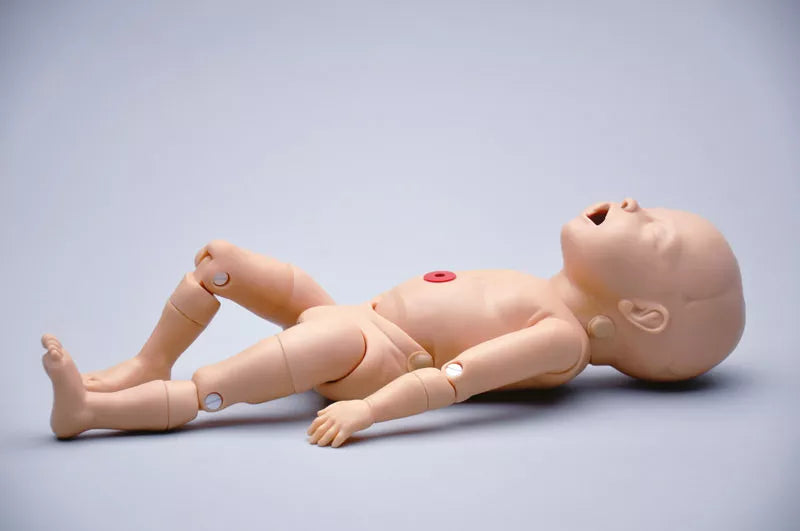 Erler-Zimmer Noelle Geburtstorso