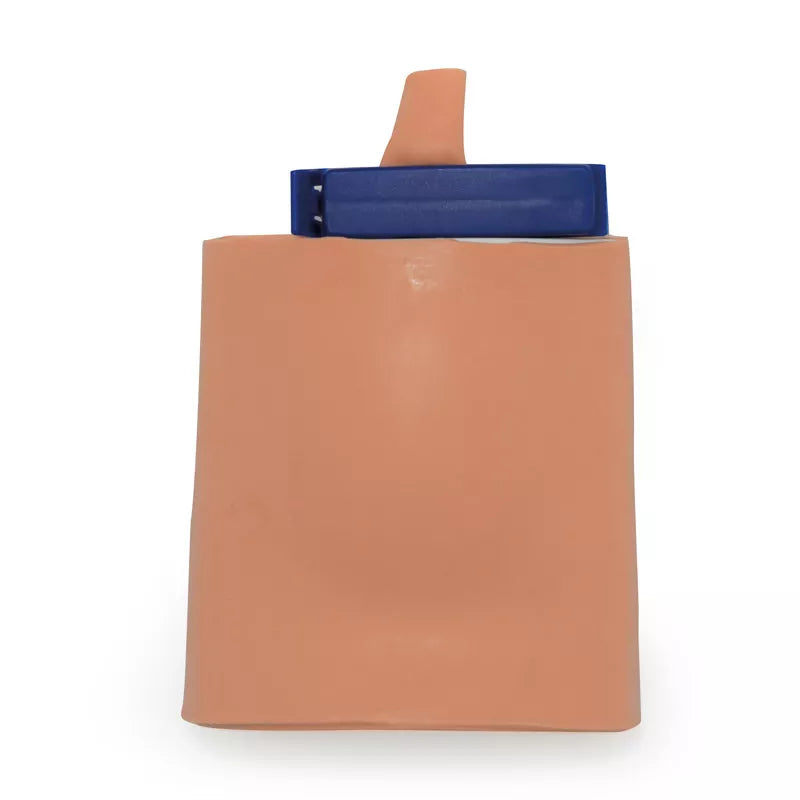 Erler-Zimmer Blasenpunktionstrainer (Zystozentese)