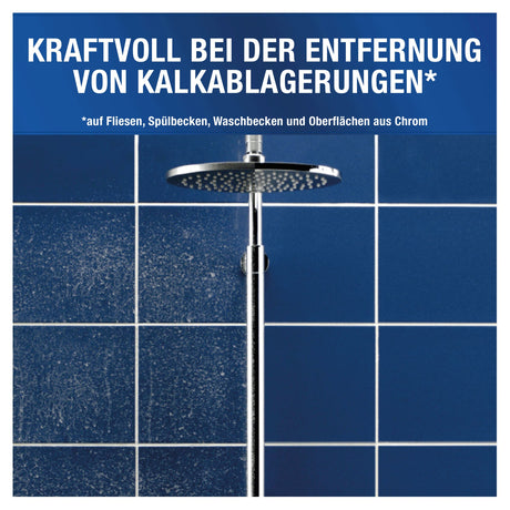 Antikal Professional Desinfizierender Kalkreiniger für den professionellen Einsatz – Ansicht 5