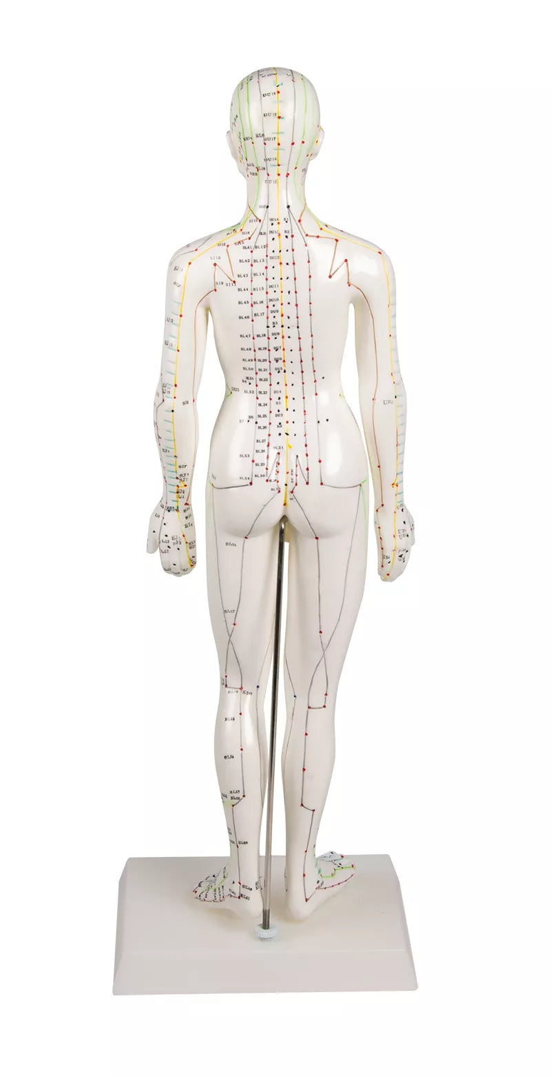 Erler-Zimmer Chinesische Akupunkturfigur weiblich