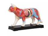 Erler-Zimmer Akupunktur Figur Modell Katze