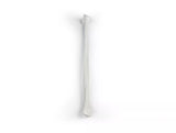 Erler-Zimmer Wadenbein Modell Fibula