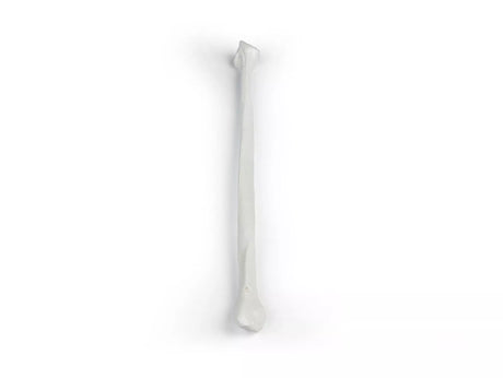 Erler-Zimmer Wadenbein Modell Fibula