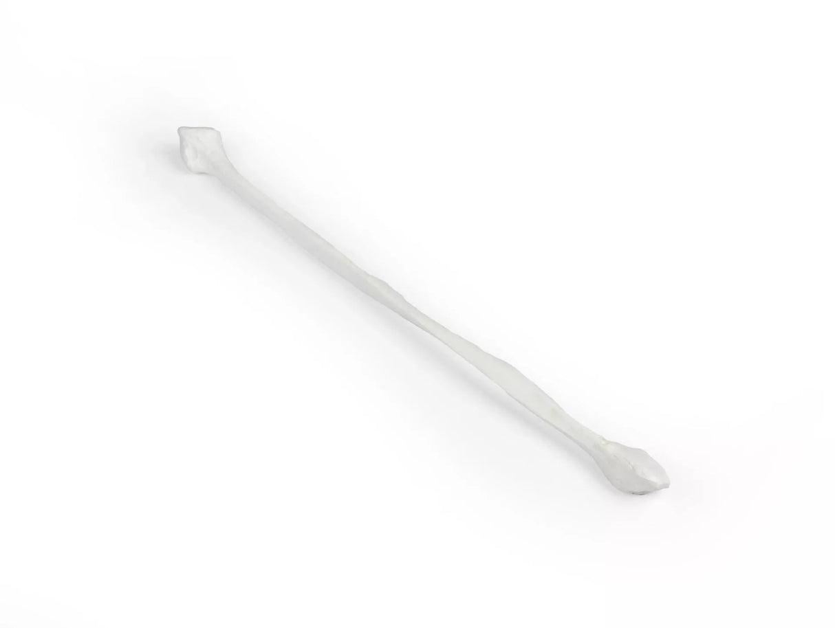 Erler-Zimmer Wadenbein Modell Fibula