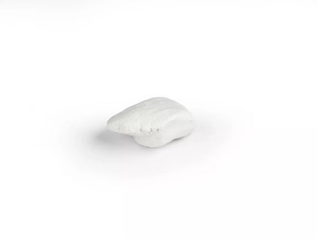 Erler-Zimmer Kniescheibe Modell Patella