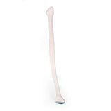 Erler-Zimmer Wadenbein Modell Fibula