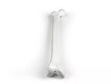 Erler-Zimmer Oberschenkel Modell Femur