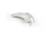 Erler-Zimmer Schulterblatt Modell Scapula