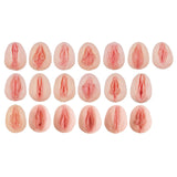 Erler-Zimmer Vulva Abdrücke Modell mit vergleichender Anatomie