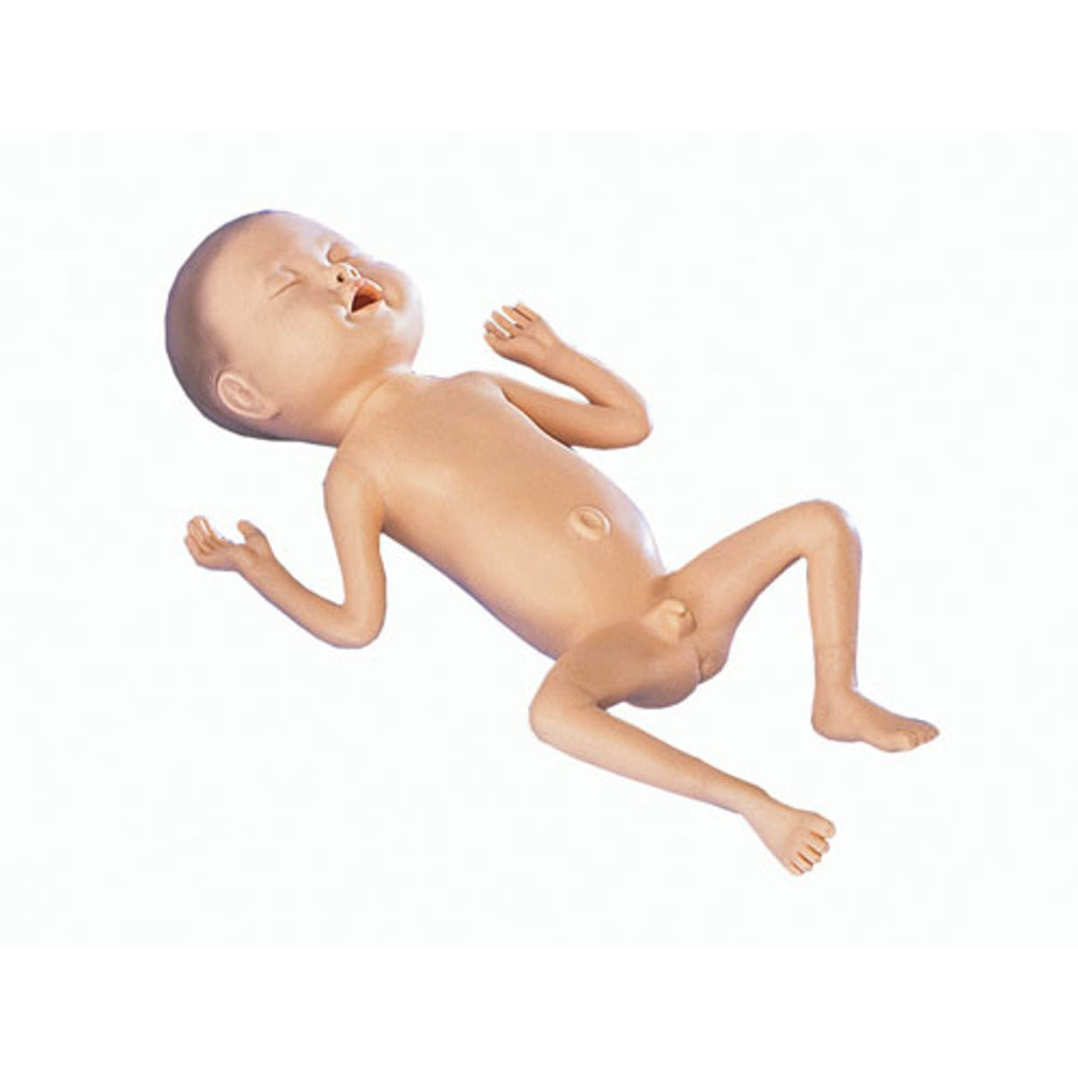 Erler-Zimmer Frühgeborenen Modell 24 Wochen alt