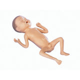 Erler-Zimmer Frühgeborenen Modell 24 Wochen alt