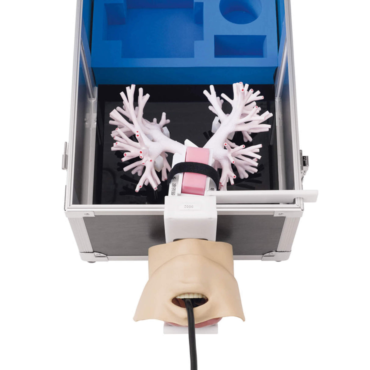 Erler-Zimmer Ultraschall Bronchoskopie Trainer