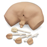 Erler-Zimmer Prostatauntersuchungs Simulator
