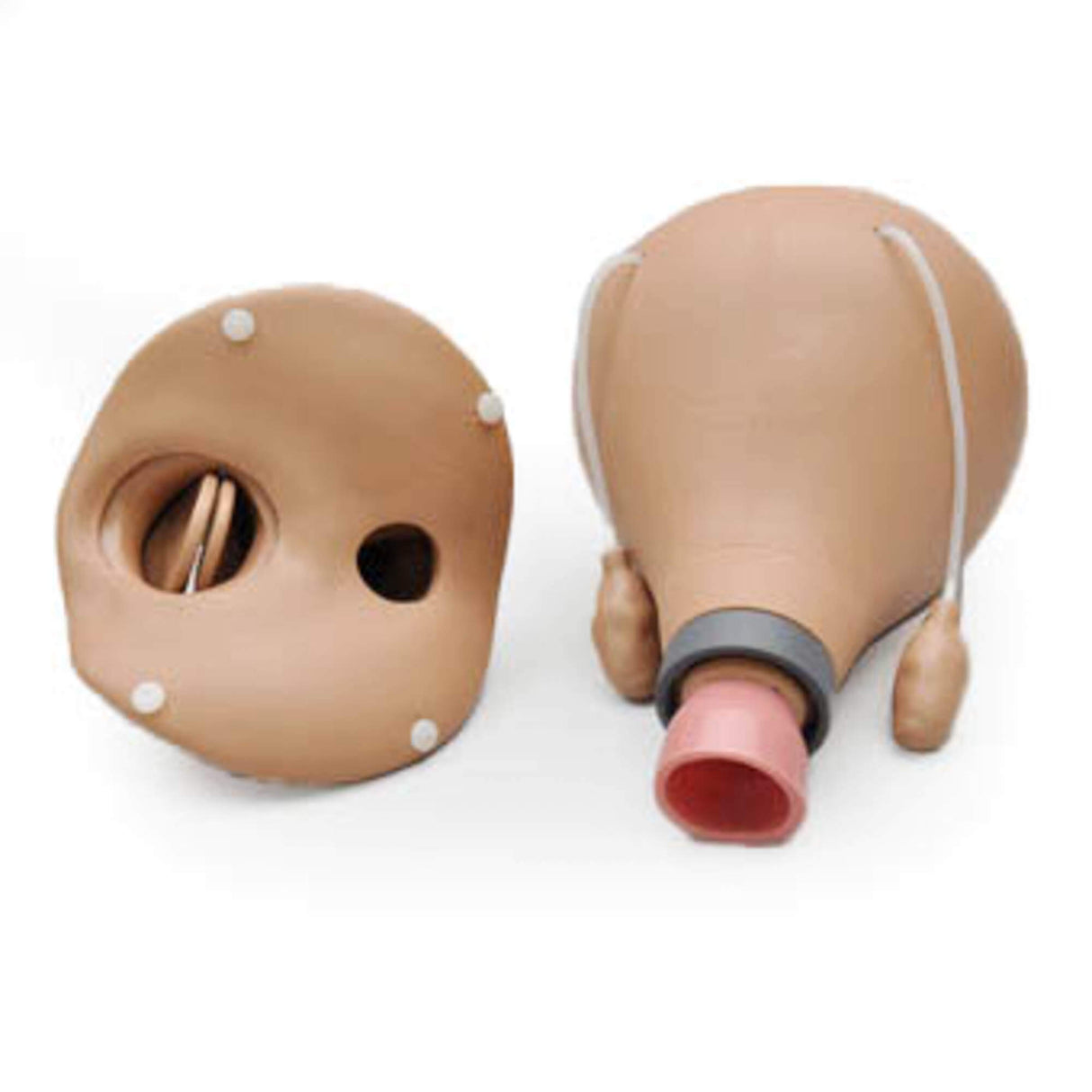 Erler-Zimmer Nachgeburtlicher Uterus für R10183