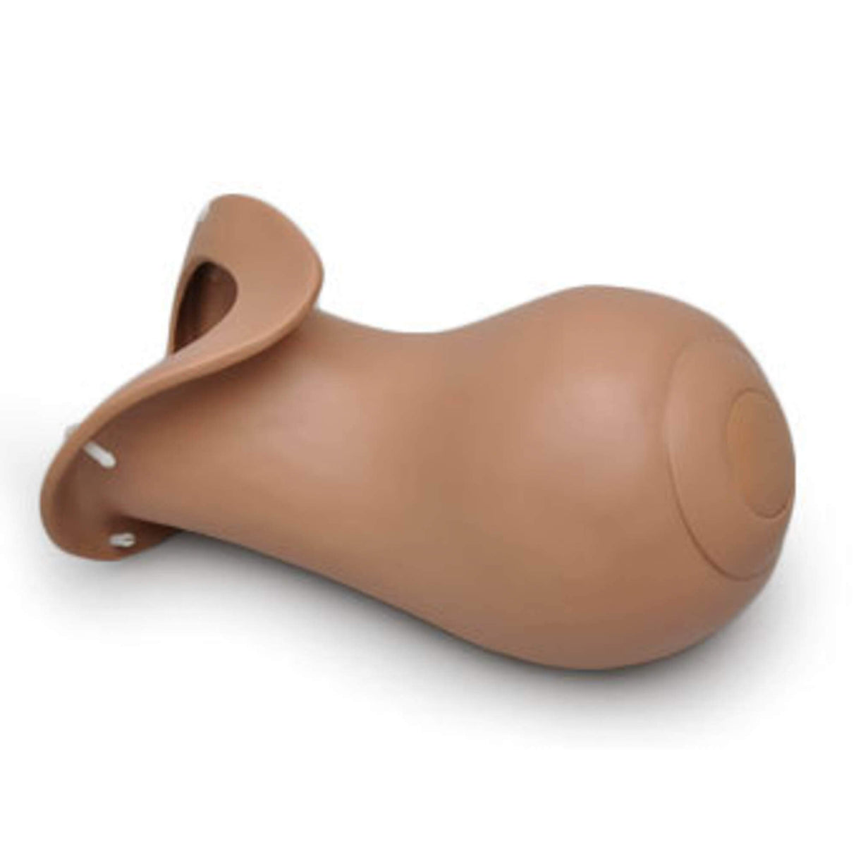 Erler-Zimmer Nachgeburtlicher Uterus für R10183