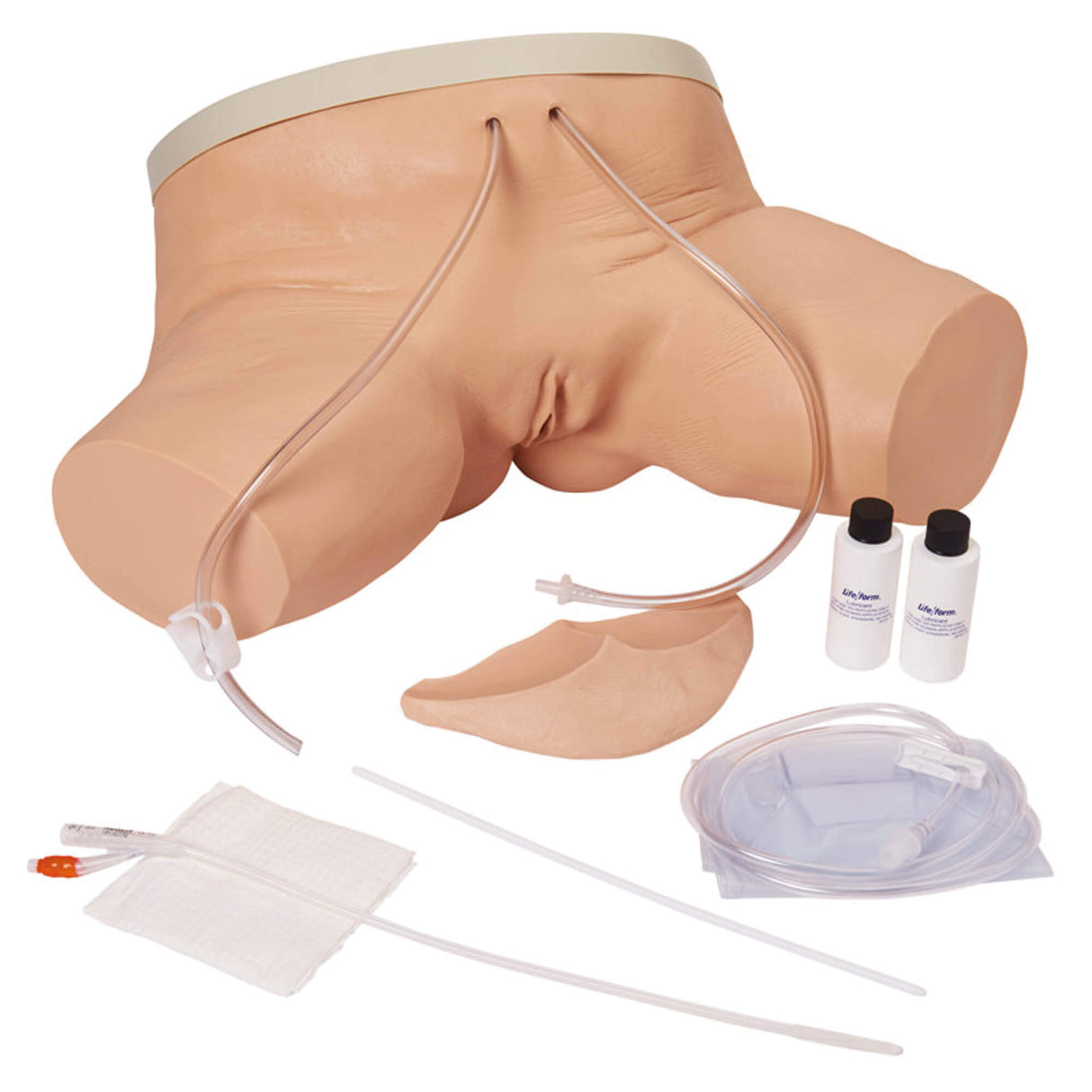 Erler-Zimmer Katheterisierungs Simulator weiblich