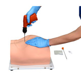 Erler-Zimmer Bonnie Knochenmarkbiopsietrainer