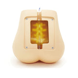 Erler-Zimmer Ultraschallfähiger Lumbalpunktions /Epiduralpunktions Simulator