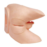Erler-Zimmer Prostata Untersuchungs Trainer