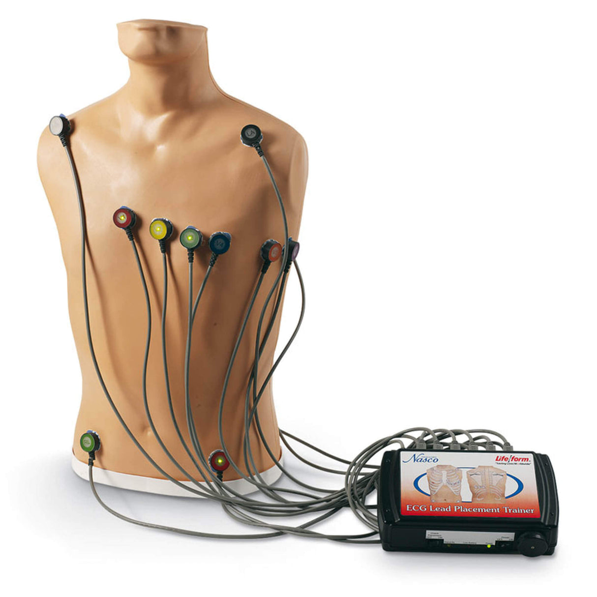 Erler-Zimmer 15-Kanal-EKG-Platzierungstrainer