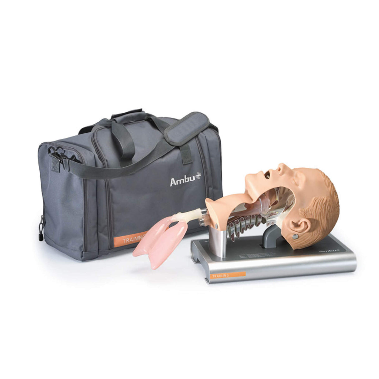 Erler-Zimmer Airway Management Trainer Erwachsener