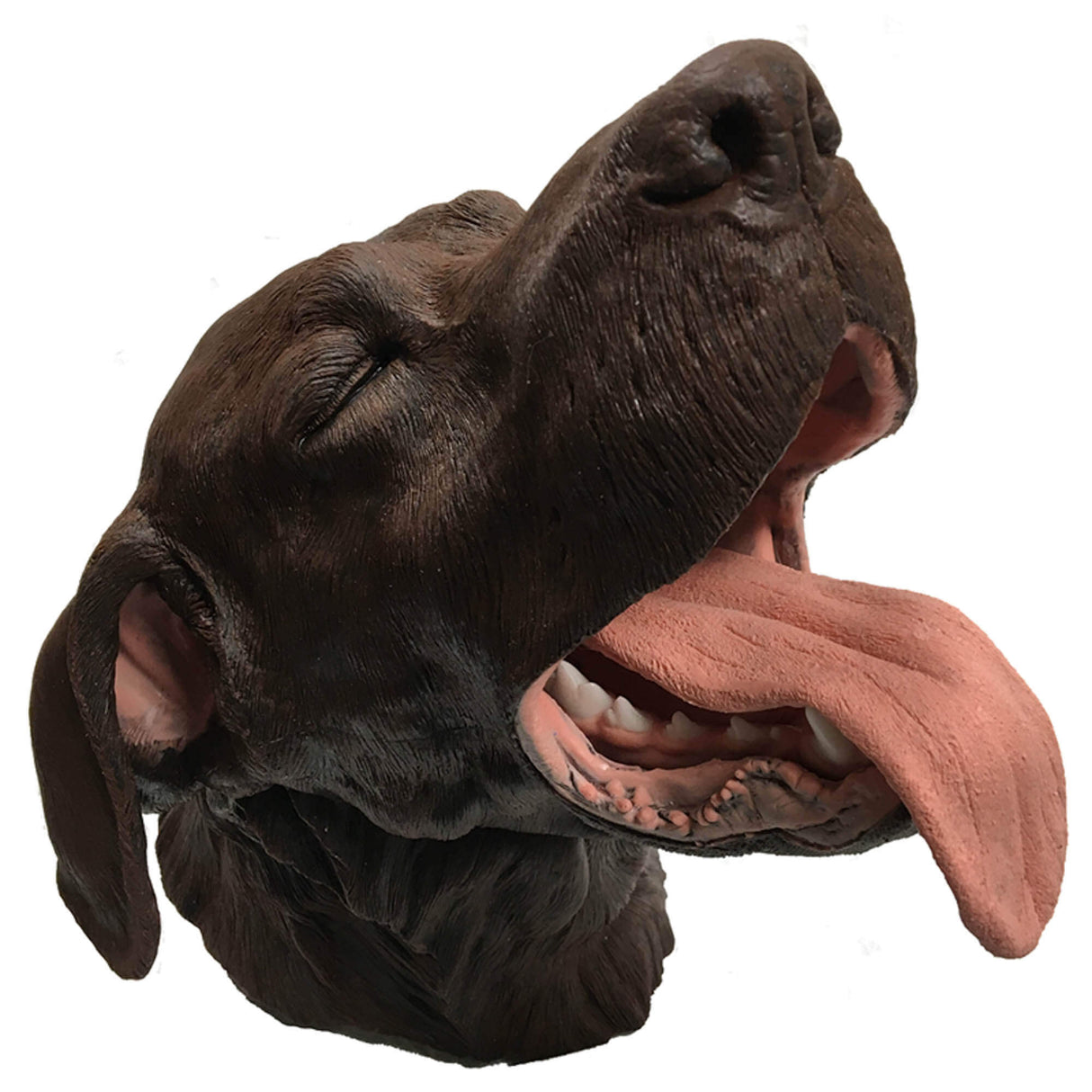 Erler-Zimmer Chirurgisches Zahnmodell Hund